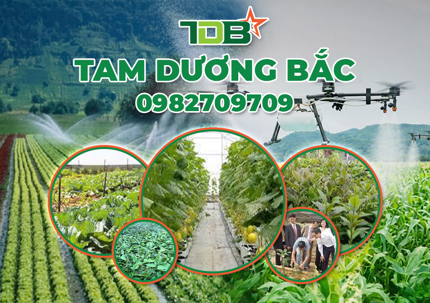 CÔNG TY TNHH TAM DƯƠNG BẮC